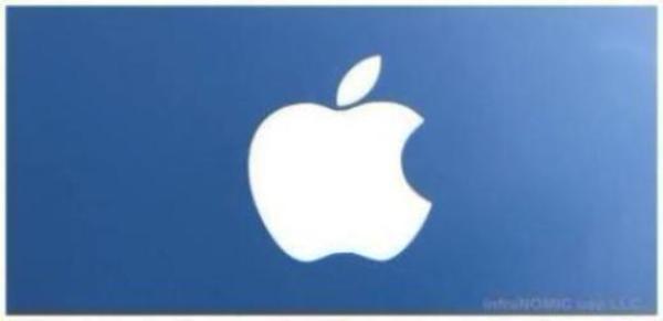 Apple Logo etched onto mirror - 2' x 4' Radiant Heat Panel