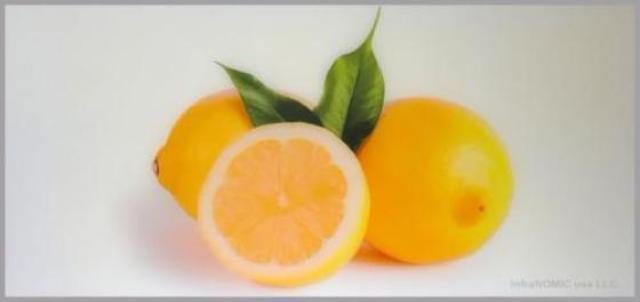 Lemons - 2' x 4' Radiant Heating Panel